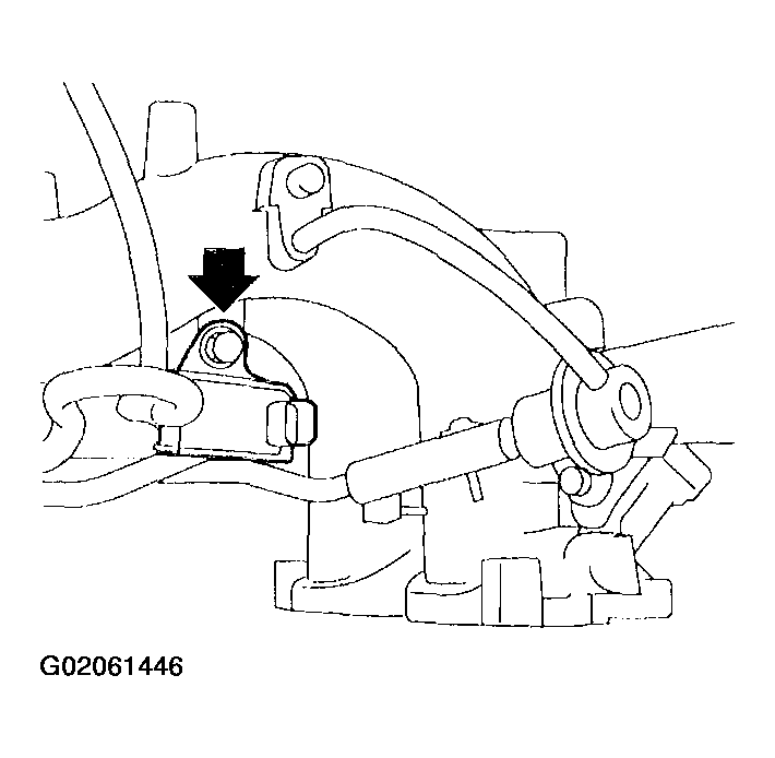 G02061446