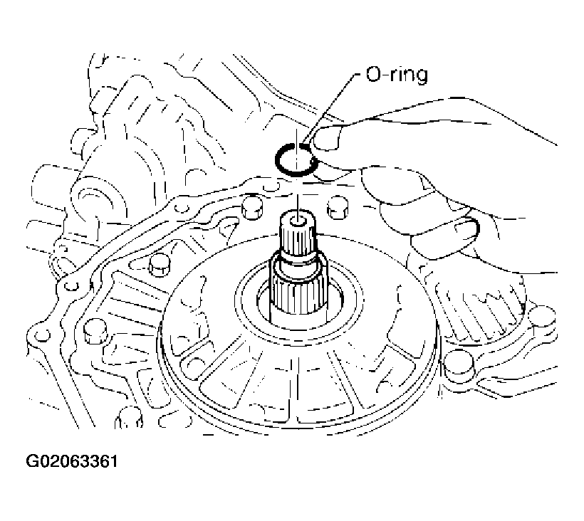 G02063361