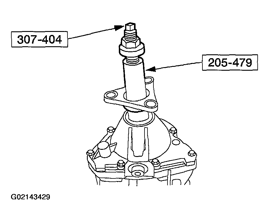 G02143429