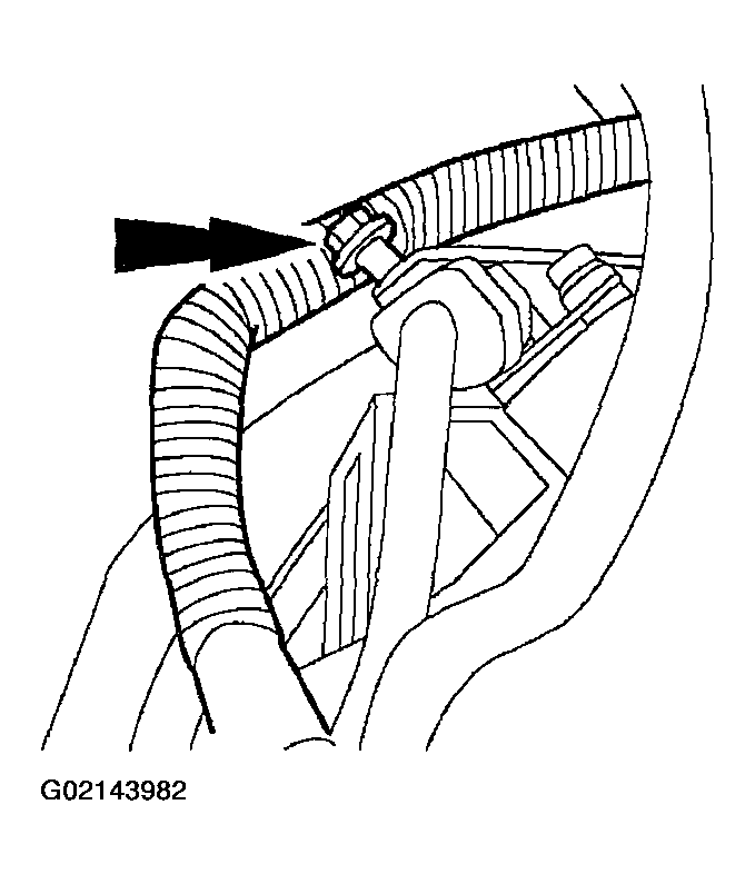 G02143982
