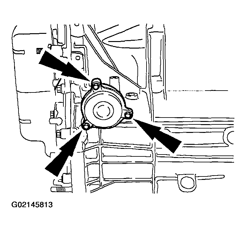 G02145813