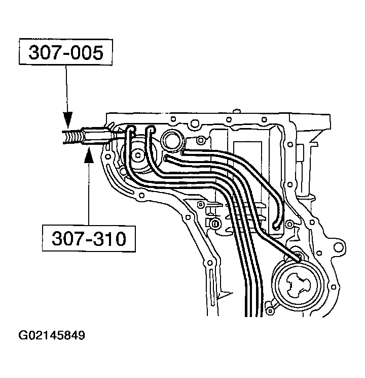 G02145849