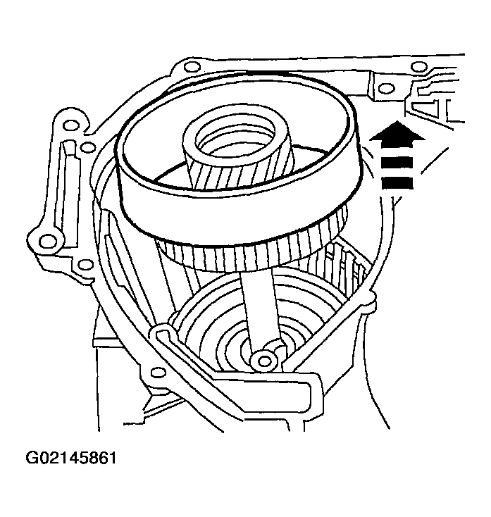 G02145861