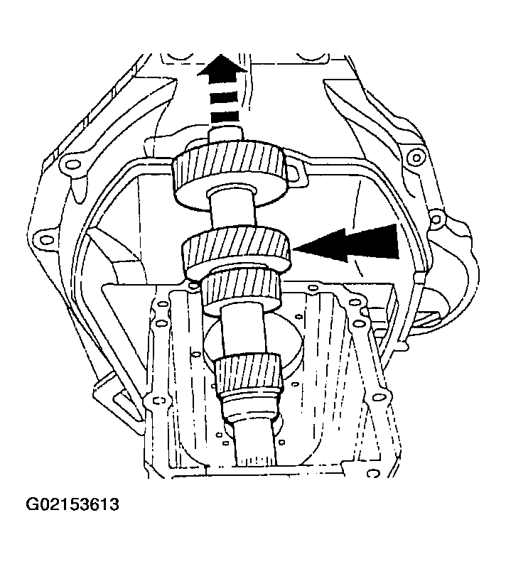 G02153613