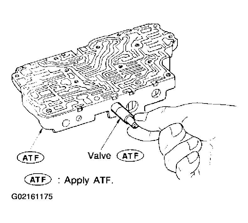 G02161175
