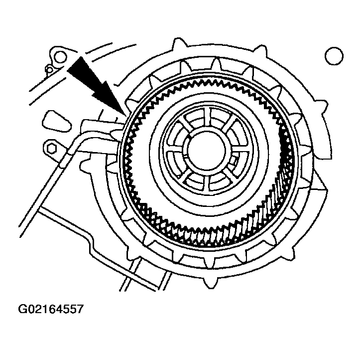 G02164557