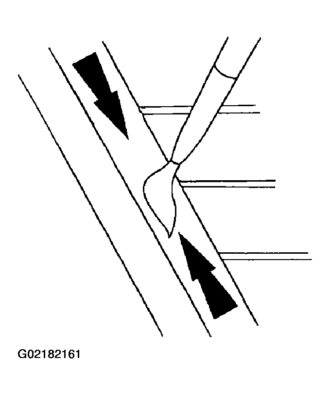 G02182161