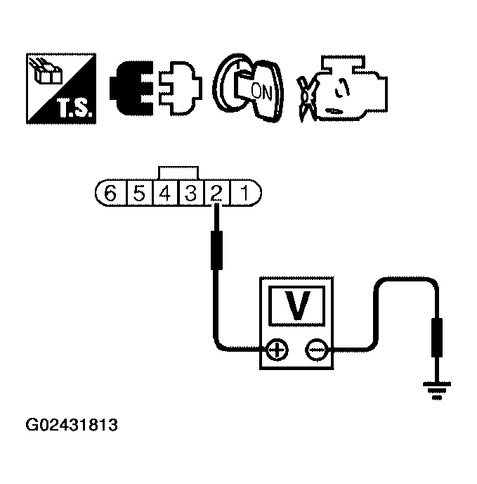 G02431813