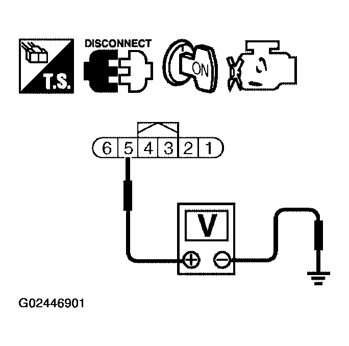 G02446901