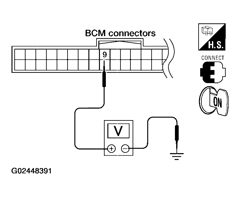 G02448391