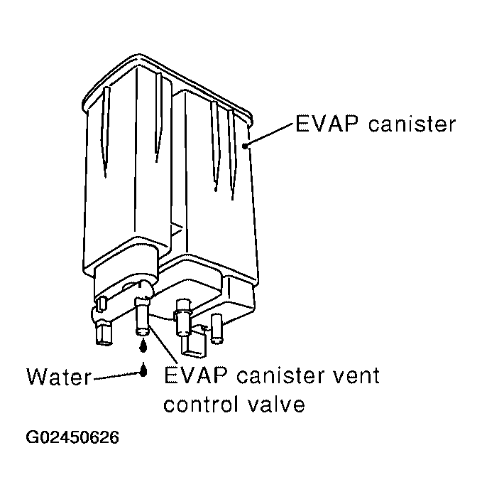 G02450626