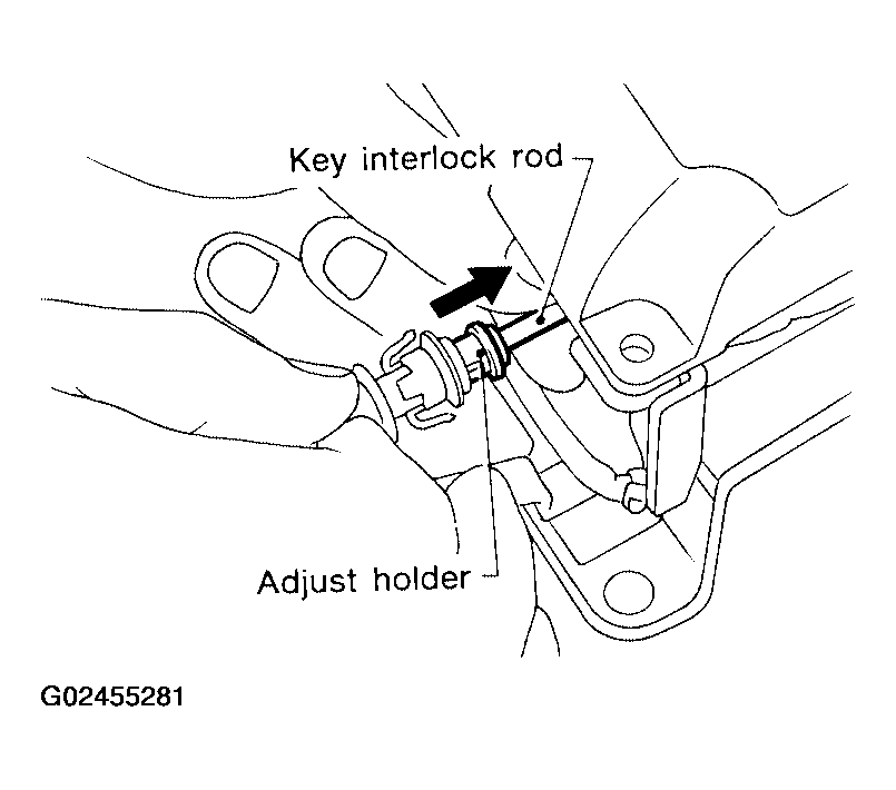 G02455281
