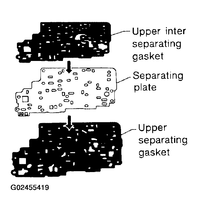 G02455419