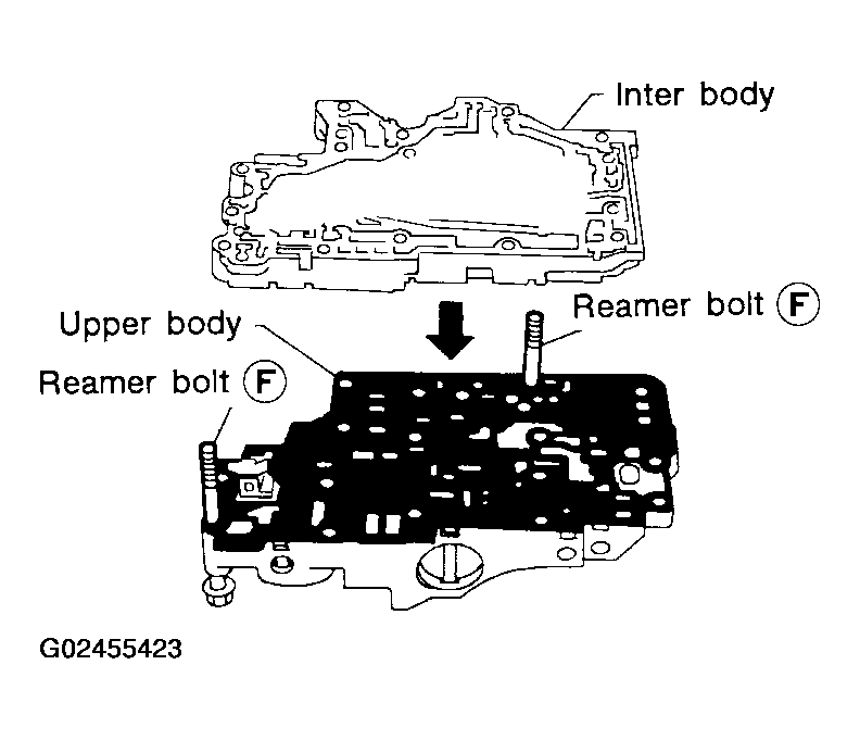 G02455423