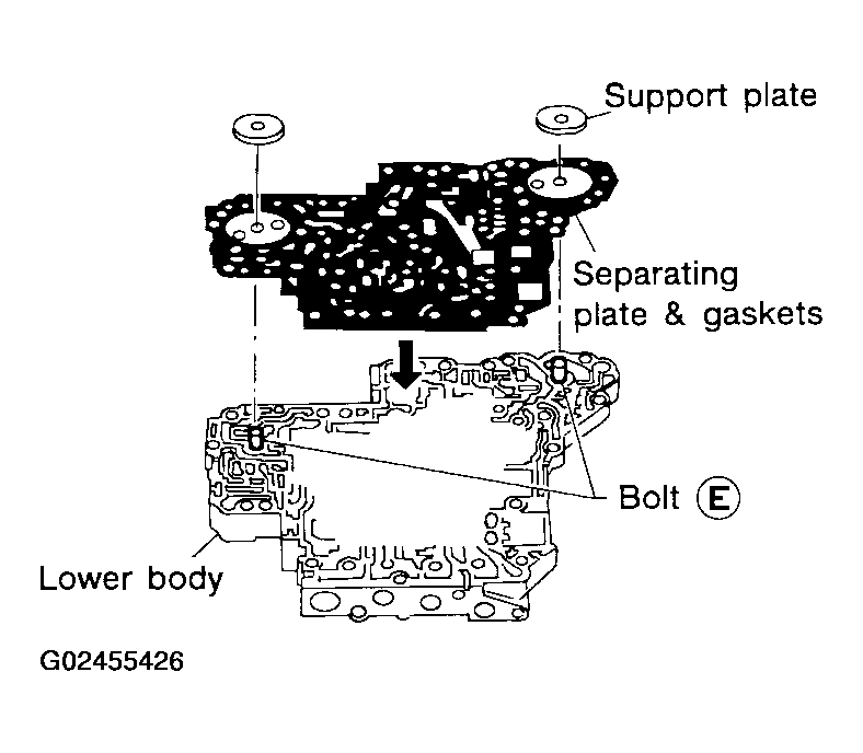 G02455426