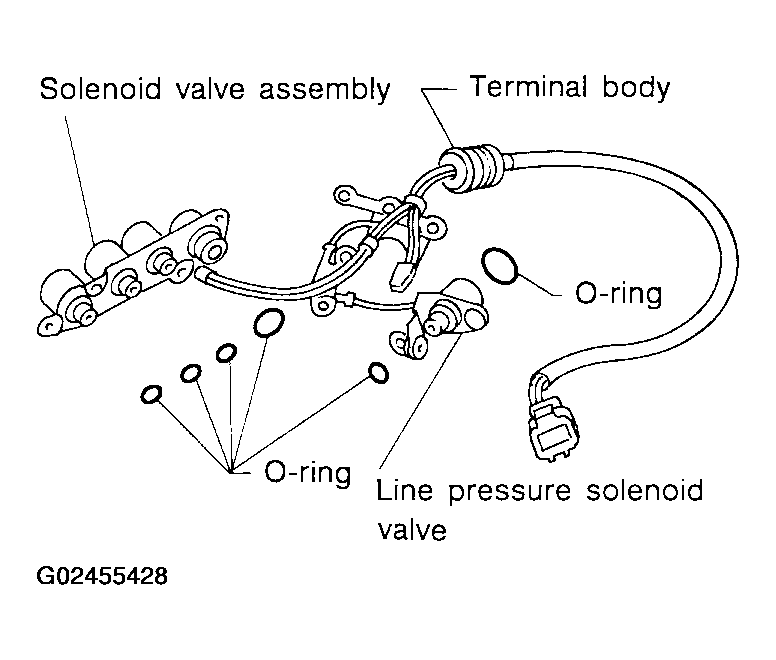 G02455428