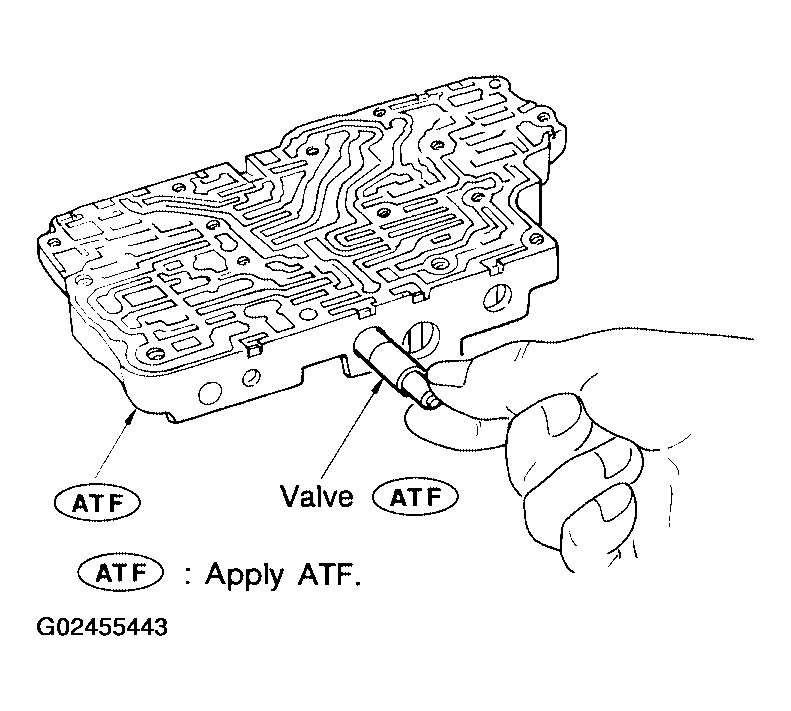G02455443