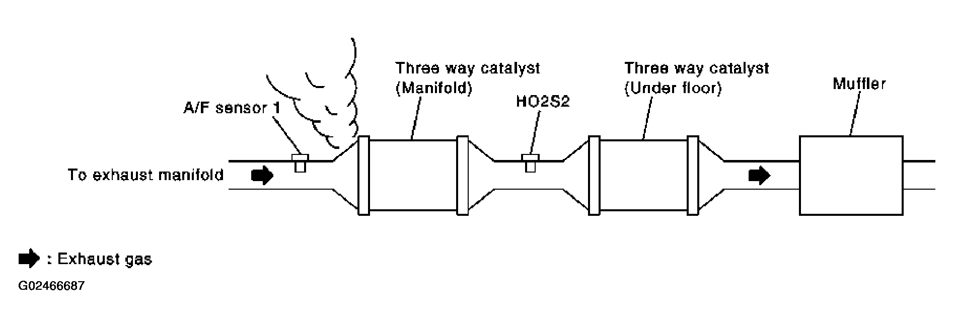 G02466687