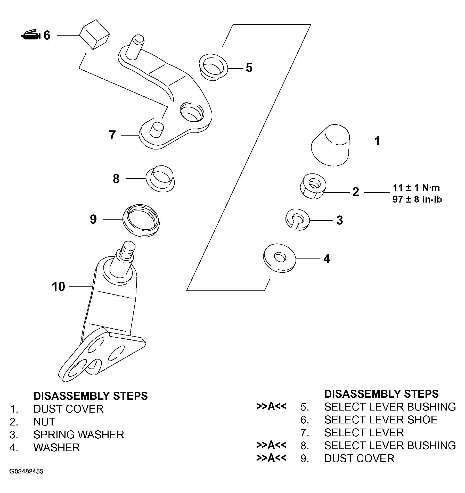 G02482455
