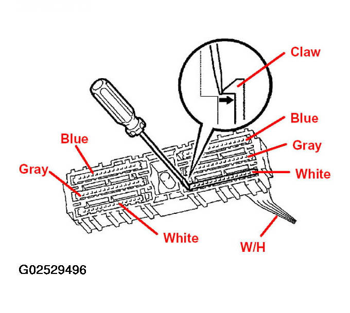 G02529496