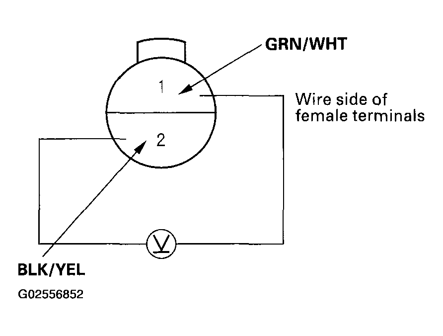 G02556852