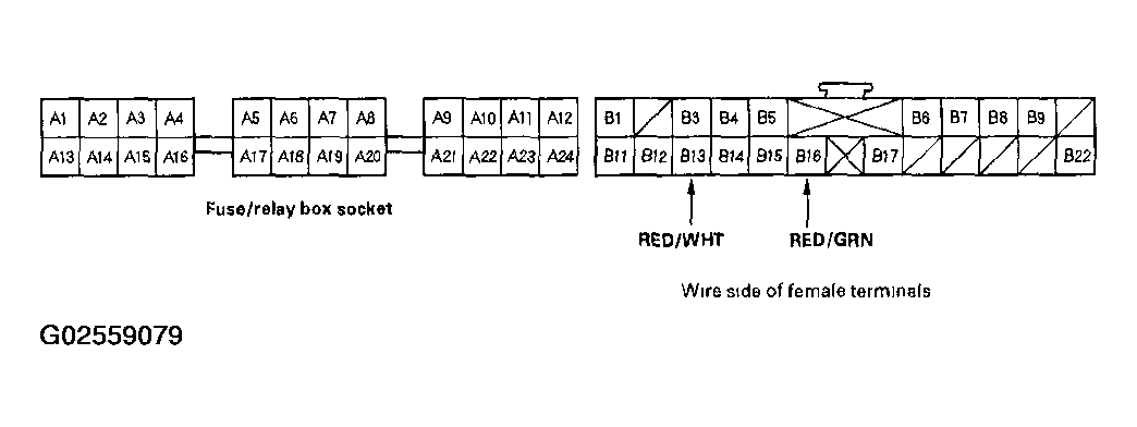 G02559079
