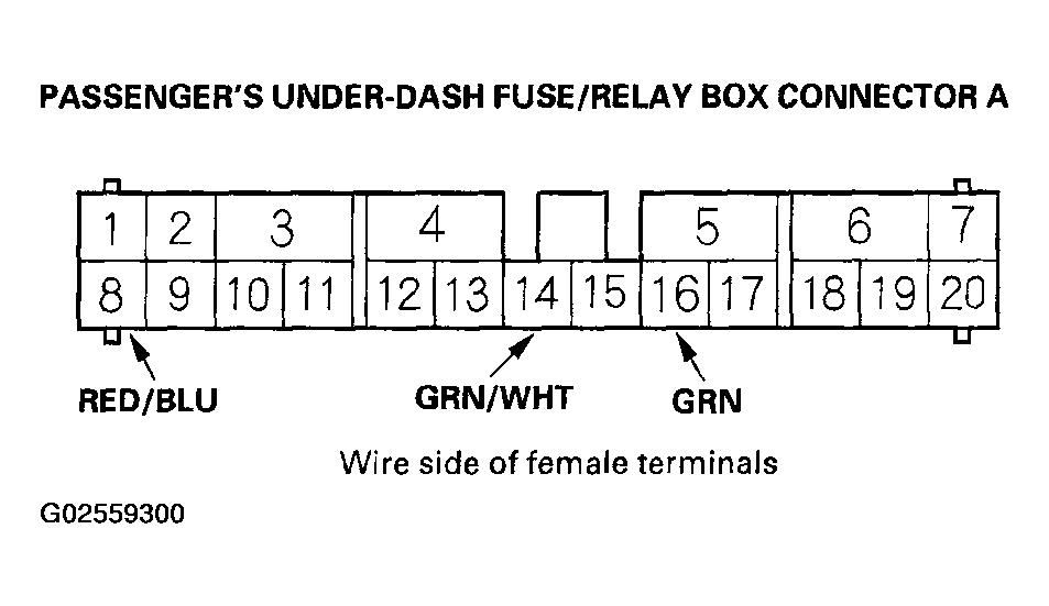 G02559300