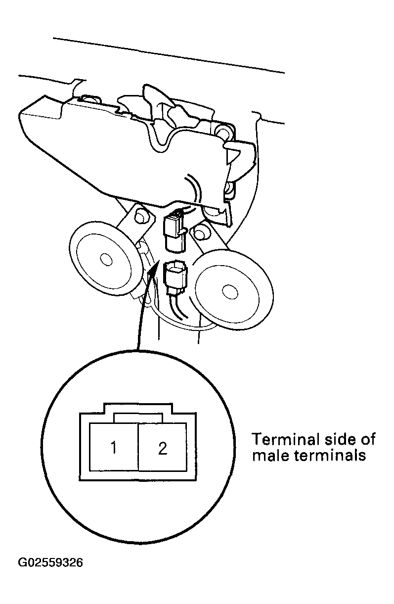 G02559326