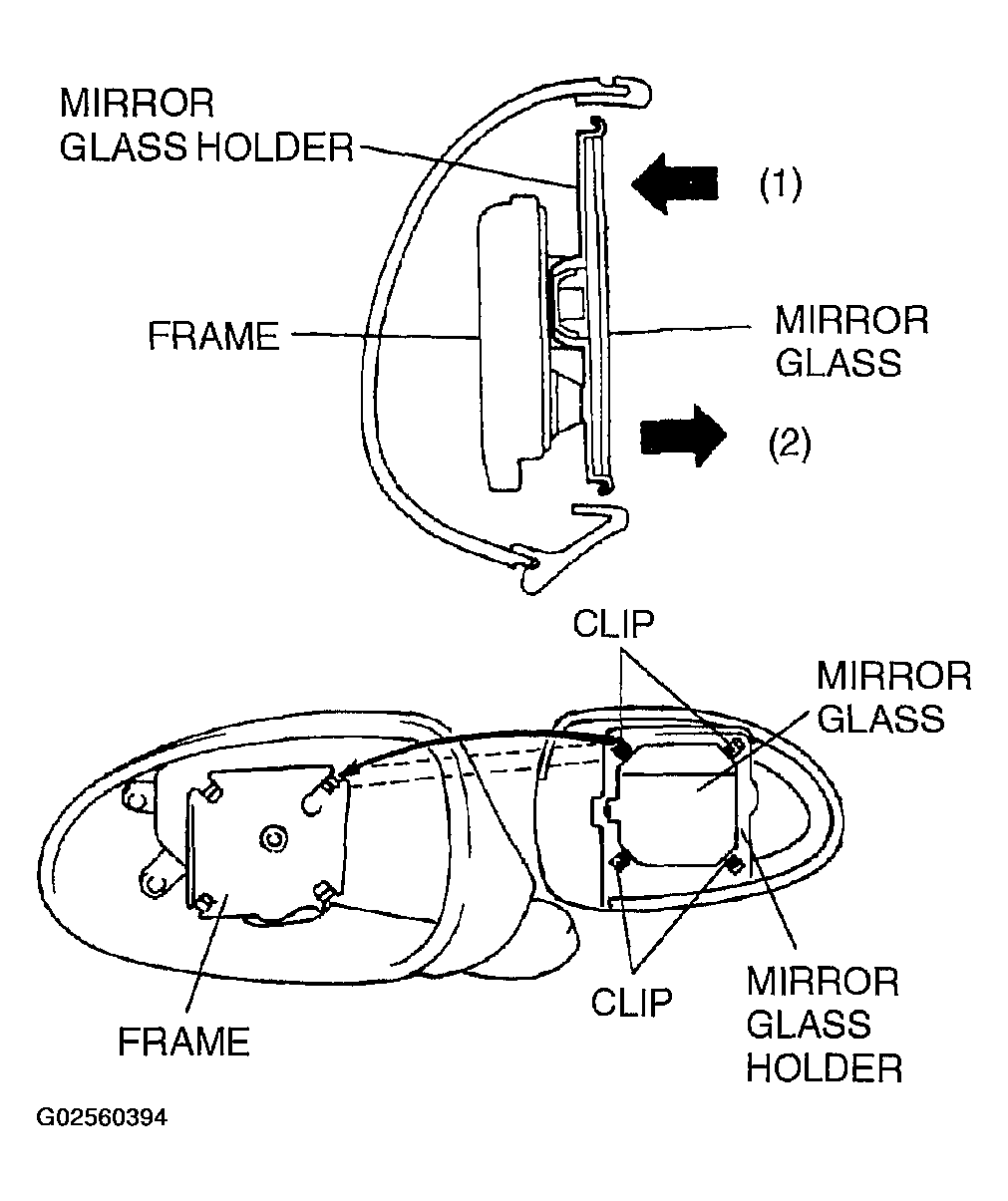G02560394