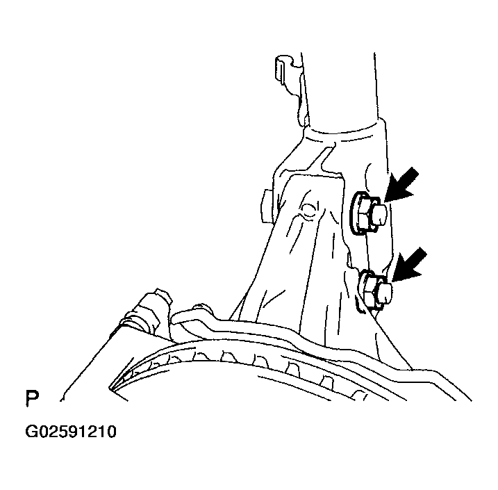 G02591210