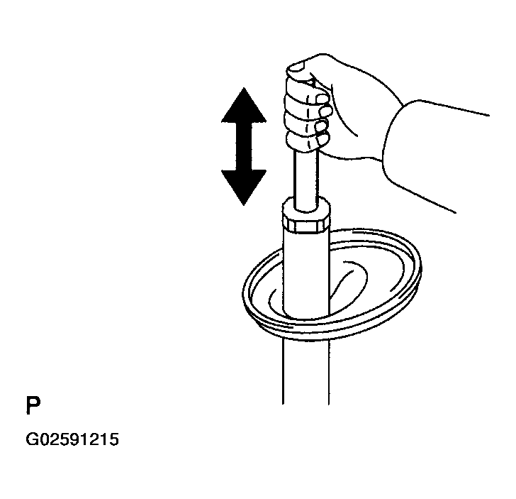 G02591215
