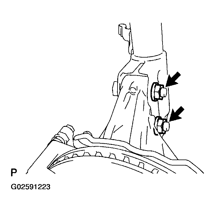 G02591223