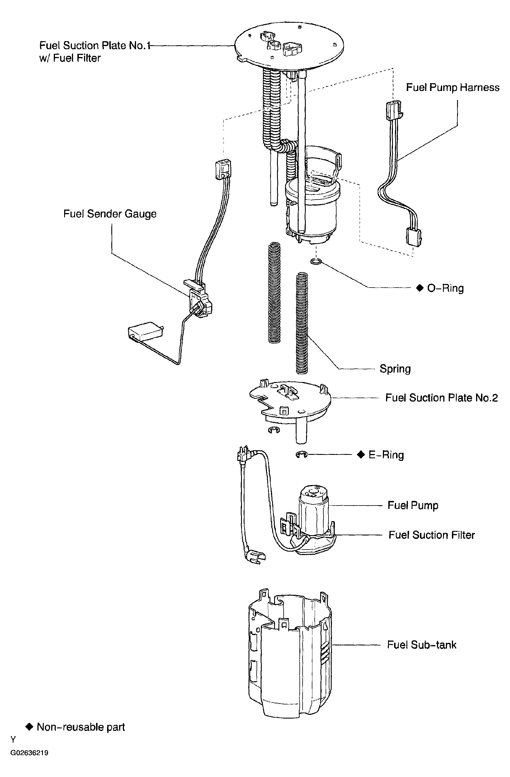 G02636219