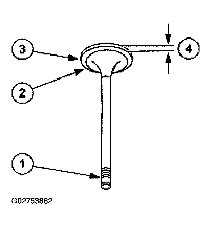 G02753862