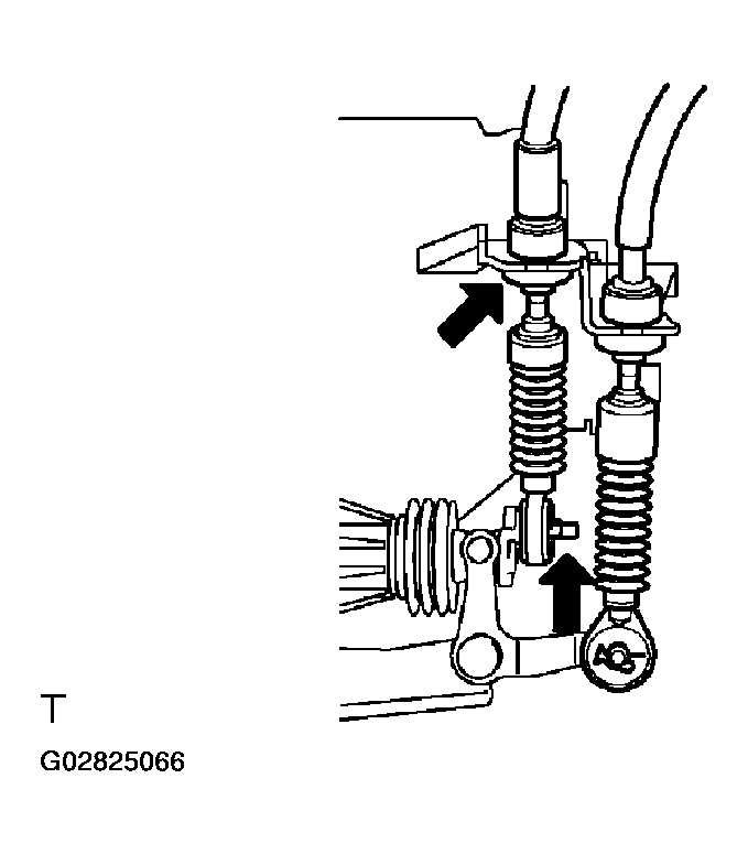 G02825066