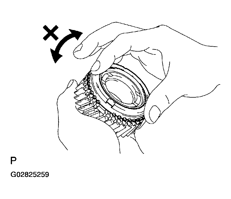 G02825259