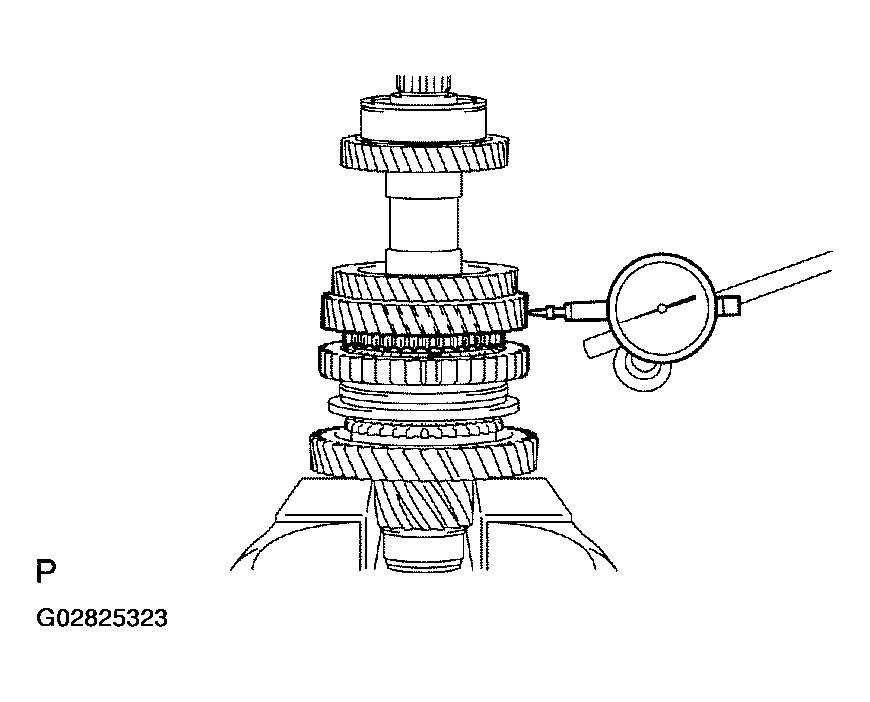 G02825323