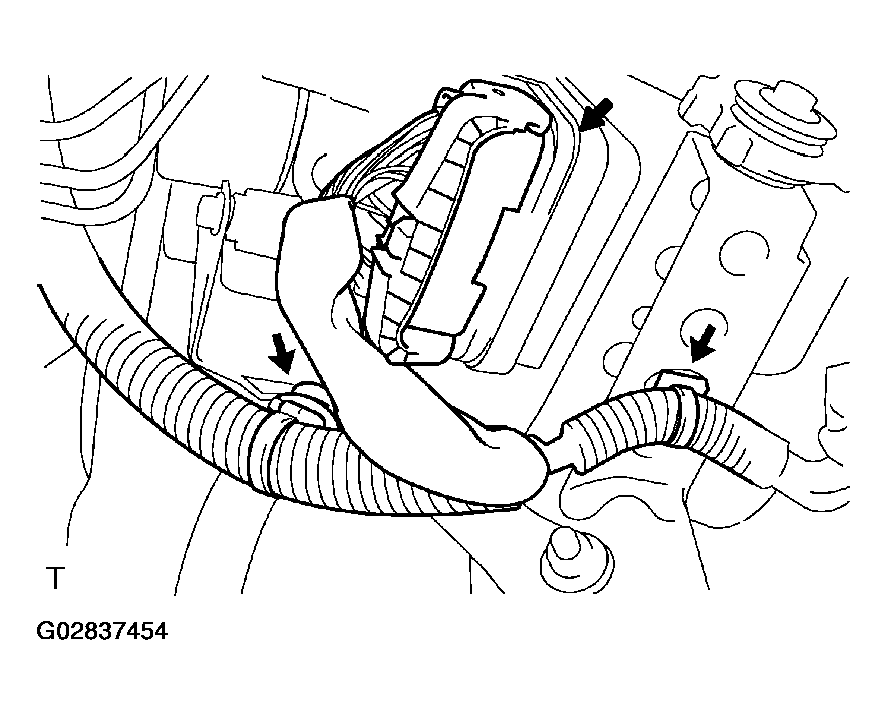 G02837454
