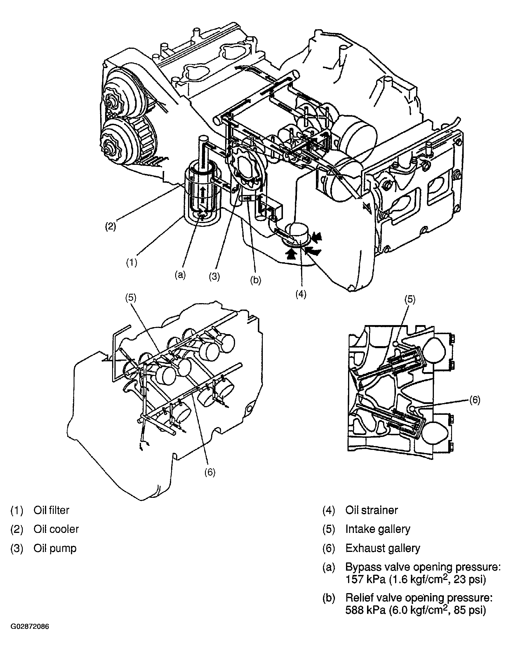 G02872086
