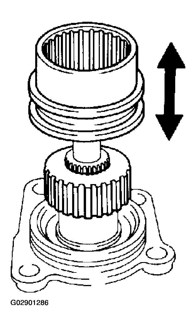 G02901286