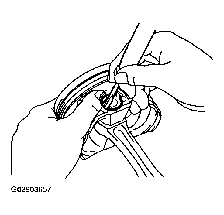 G02903657
