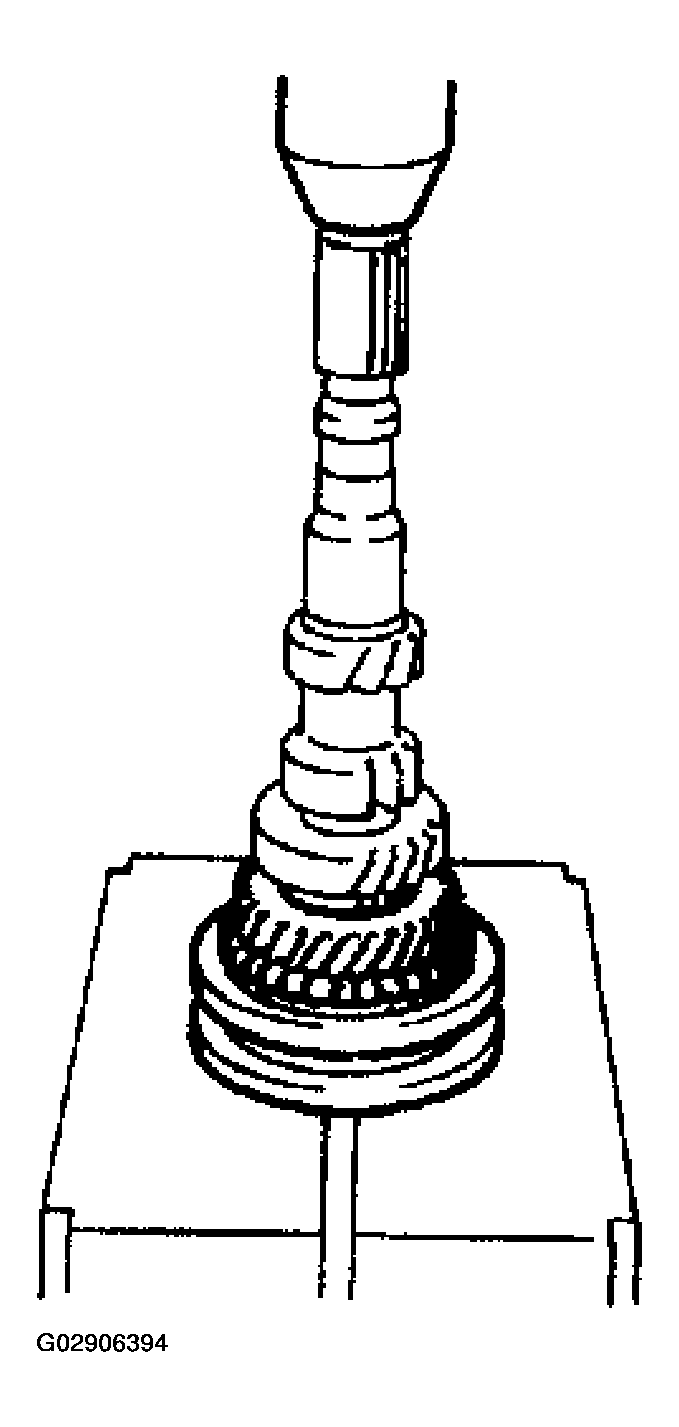 G02906394