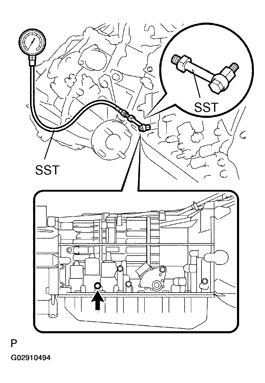 G02910494
