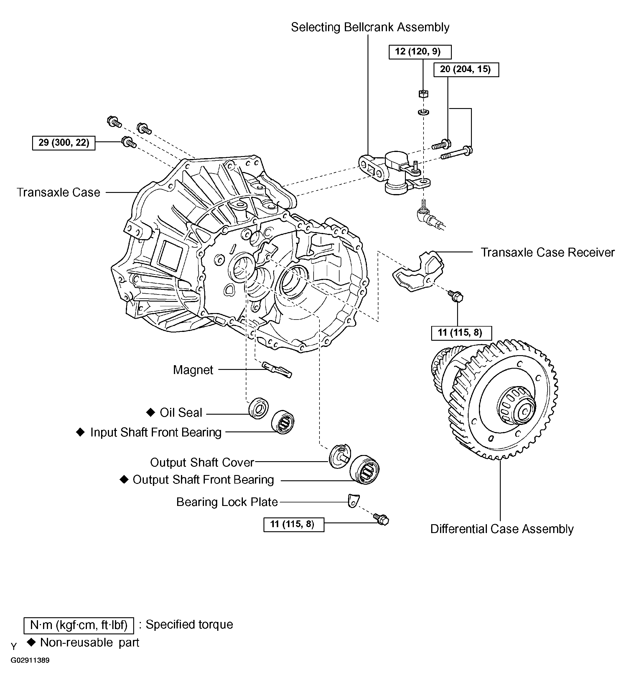 G02911389