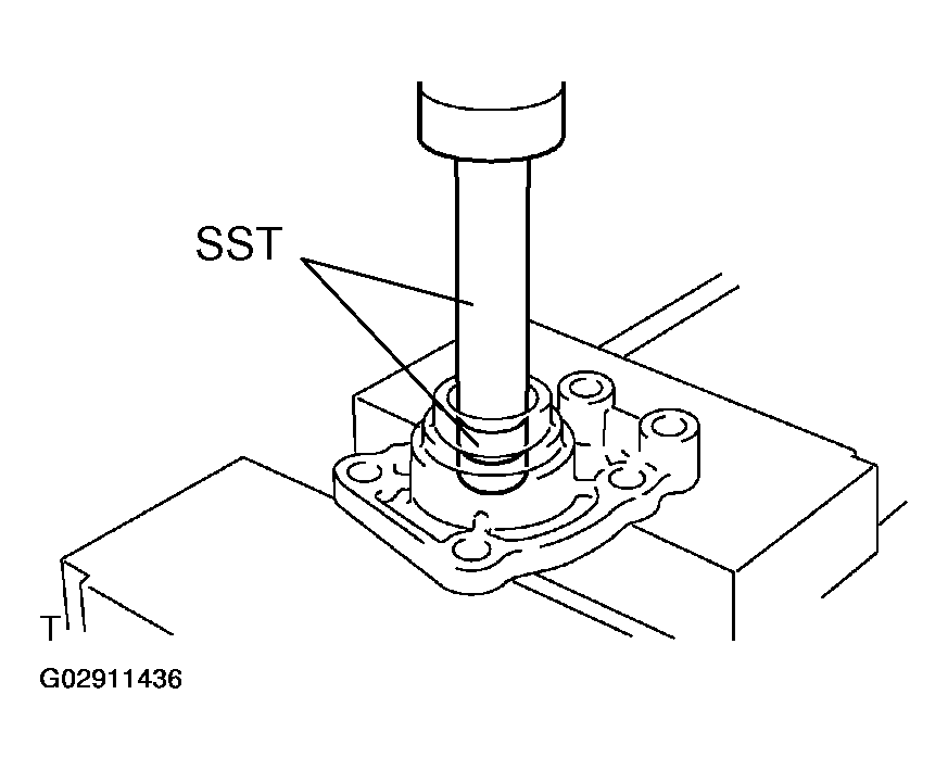 G02911436