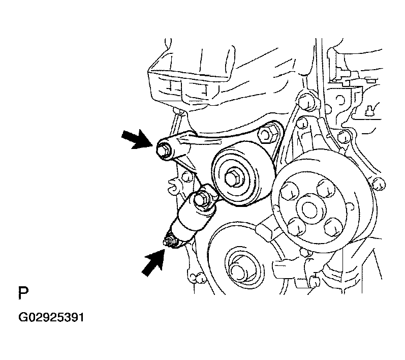 G02925391
