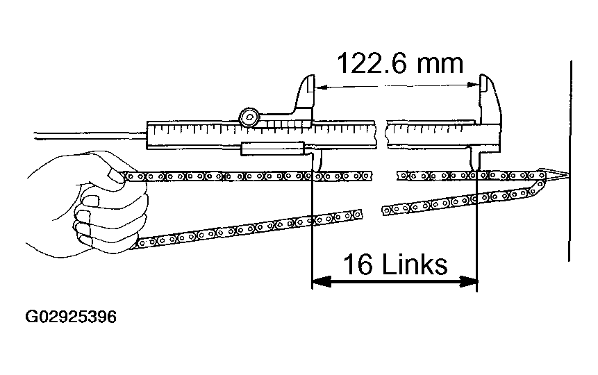 G02925396
