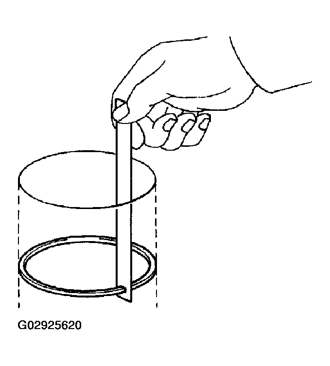 G02925620