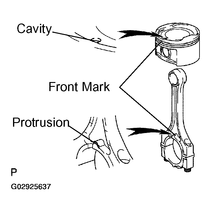 G02925637