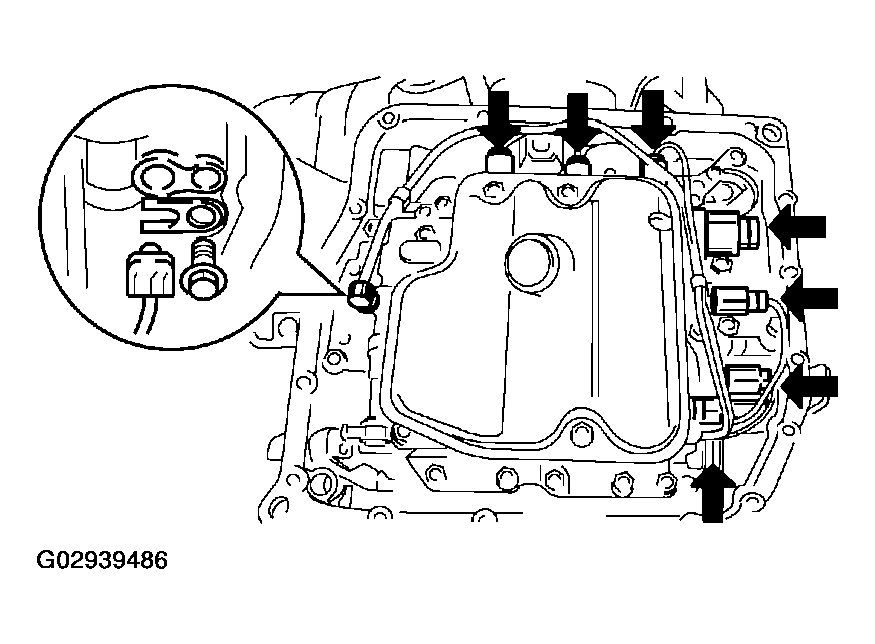 G02939486